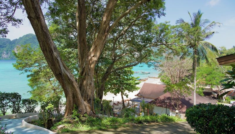 インフォメーションセンター - Bayview Resort Phi Phi Island - Beach Front Resort