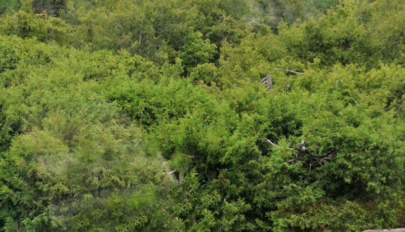 Info - Auberge des Falaises