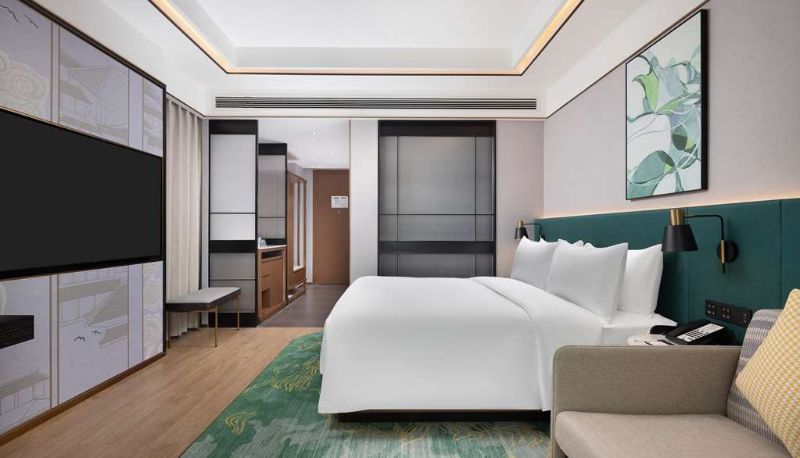 Camera - Hilton Garden Inn Leshan Shizhong
