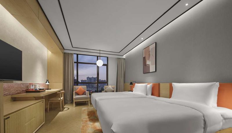 Camera - Hilton Garden Inn Aksu Downtown