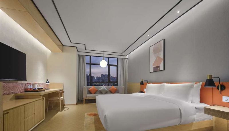 Camera - Hilton Garden Inn Aksu Downtown