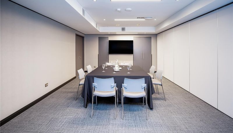 Sala conferenze - Tru by Hilton Chillan Ferrat