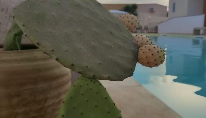 Pool - Hotel Sole