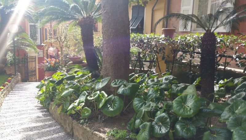 Omgeving - Hotel Eden Portofino
