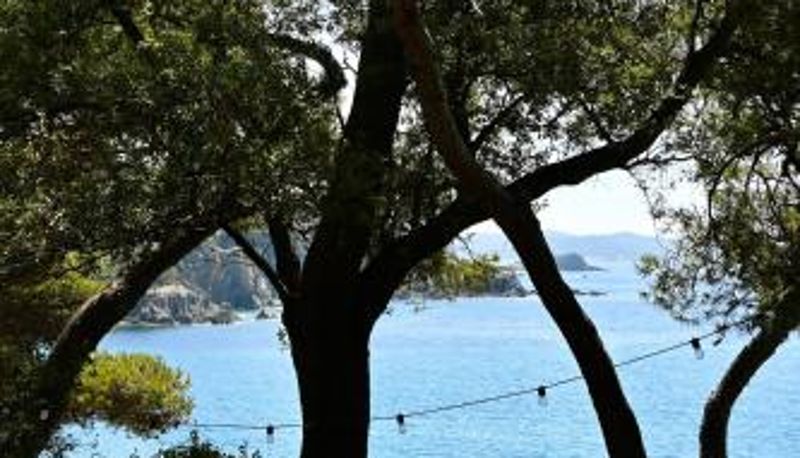 レストラン内の朝食ルーム - Hôtel Le Provençal - Bord de Mer
