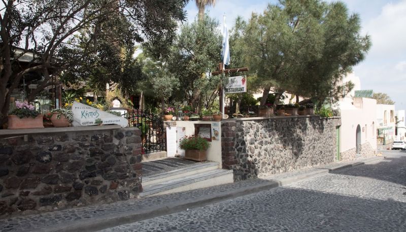 Garden - Pelican Hotel