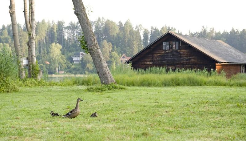 Zewnętrzna część hotelu - Inselhotel Faaker See