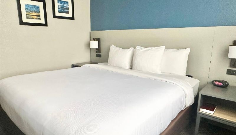 Suite - Comfort Inn & Suites Cartersville -  Emerson Lake Point