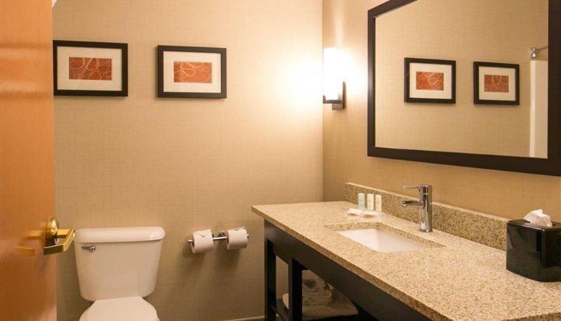 Zimmer - Comfort Suites Benton Harbor - St. Joseph