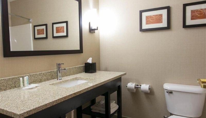 Zimmer - Comfort Suites Benton Harbor - St. Joseph