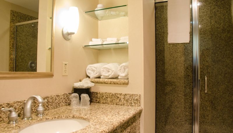 Daire - Holiday Inn PEWAUKEE-MILWAUKEE WEST by IHG