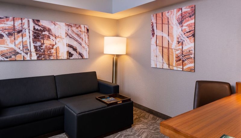 Habitación - SpringHill Suites by Marriott Pittsburgh North Shore