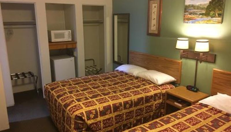 Bilgi - The King's Inn