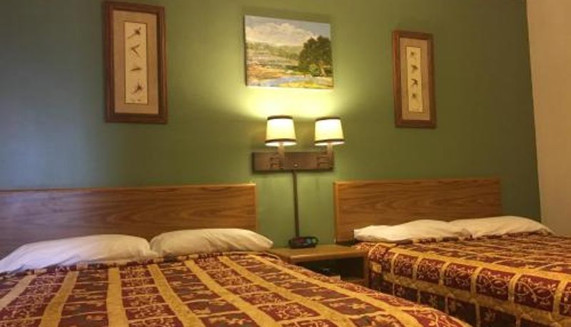 Bilgi - The King's Inn