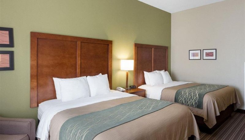 Zimmer - Comfort Inn & Suites Fayetteville-University Area