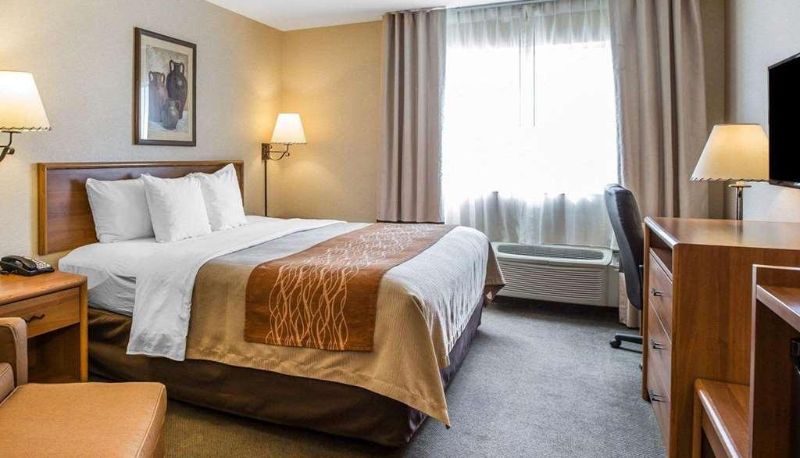 Standardzimmer (Doppel) - Quality Inn Lone Pine near Mount Whitney