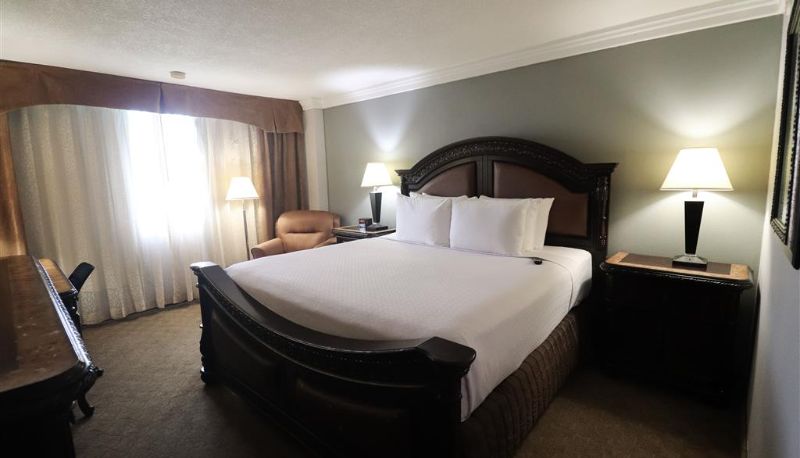 Zimmer - Wyndham Houston near NRG Park/Medical Center