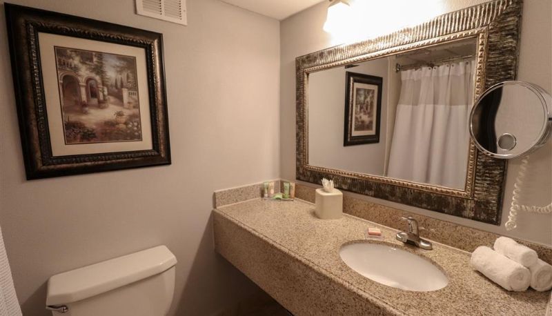 Zimmer - Wyndham Houston near NRG Park/Medical Center