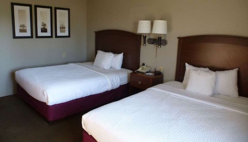 Zimmer - AmericInn by Wyndham Mitchell