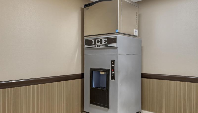 Innenbreich - Best Western Plus Red Deer Inn & Suites