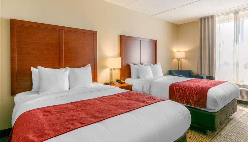 Zimmer - Comfort Inn & Suites Nashville Franklin Cool Springs