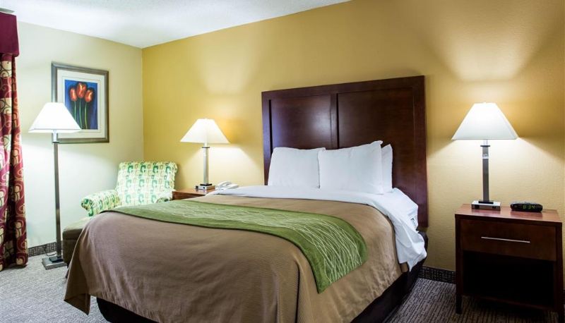 Room - Comfort Inn Columbia West