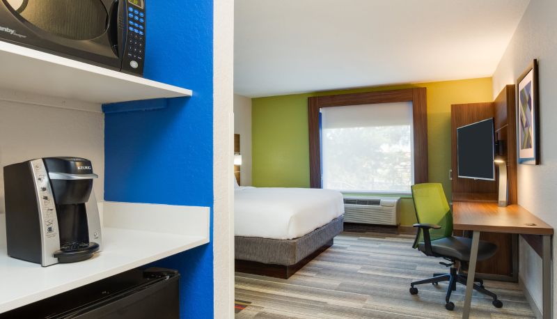 Kamer - Holiday Inn Express & Suites TAMPA-FAIRGROUNDS-CASINO by IHG