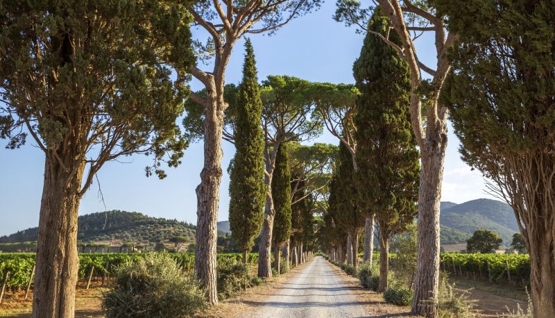 Informacje - L'Andana Resort
