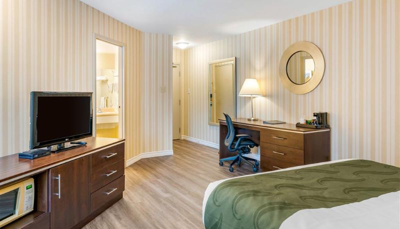 Habitación - Quality Hotel & Suites