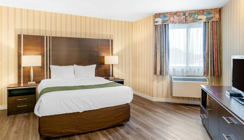 Habitación - Quality Hotel & Suites