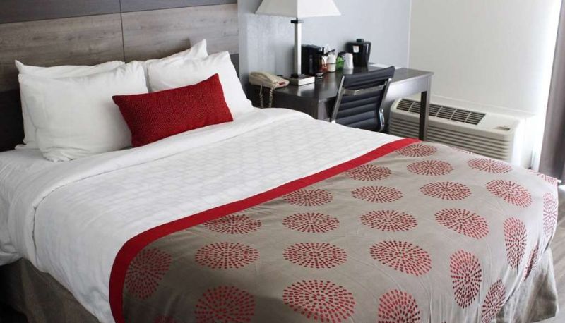 Pokój - Ramada by Wyndham North Platte & Sandhills Convention Ctr