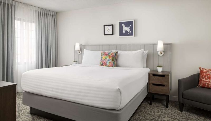 Suite - Sonesta ES Suites Toronto