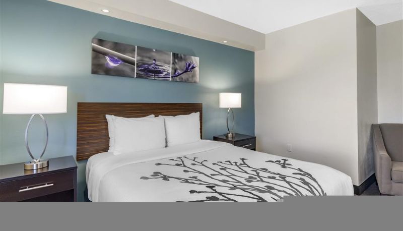 Camera - Sleep Inn Clearwater-St Petersburg