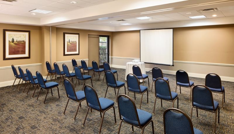 Vergaderruimte - Holiday Inn Express & Suites ALPHARETTA - WINDWARD PARKWAY by IHG