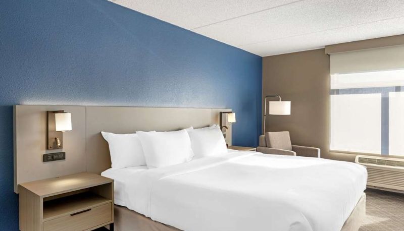 Zimmer - Comfort Inn & Suites Arlington Heights - Schaumburg