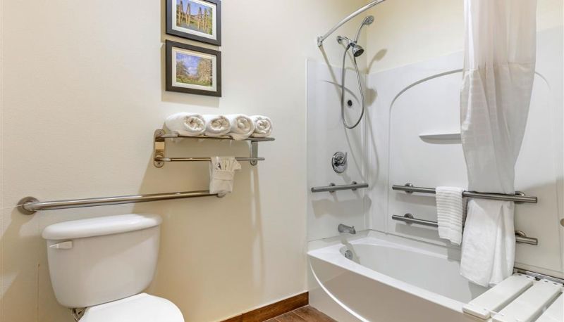 Zimmer - Comfort Suites Batesville