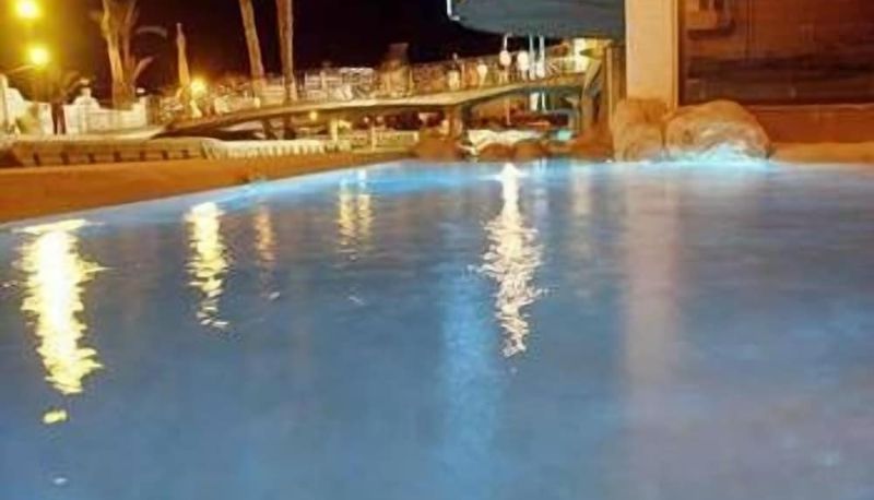 Pool - KAKTUS Hotel Kaktus Albir