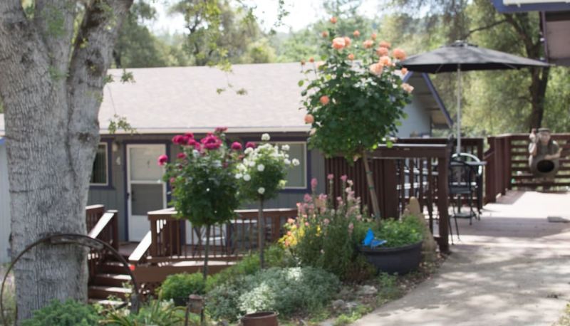 Jardín - Little Valley Inn