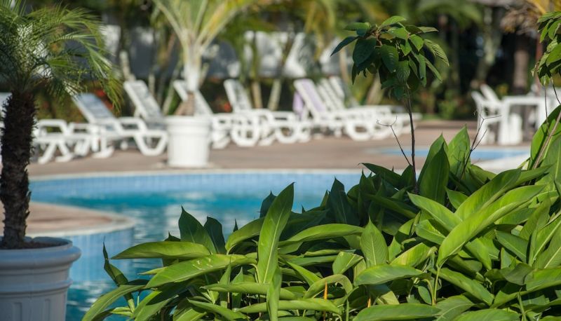 Pool - Oceano Praia Hotel