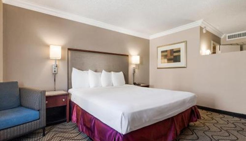 Suite - Jack London Inn