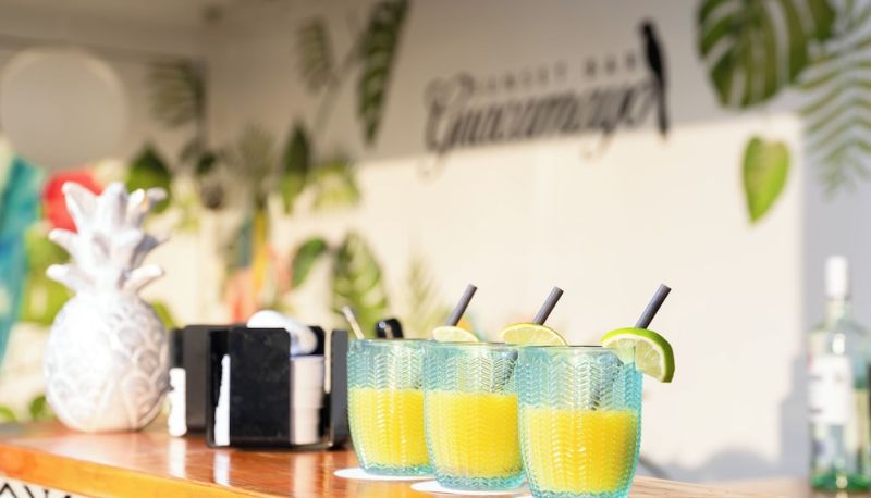 Bar - Hovima Jardín Caleta