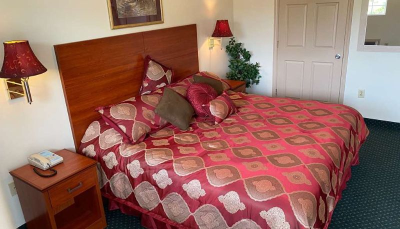 Camera standard (doppia) - Country Hearth Inn & Suites Union City