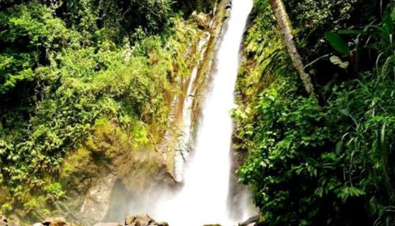 Informacje - Hotel Wagelia Turrialba