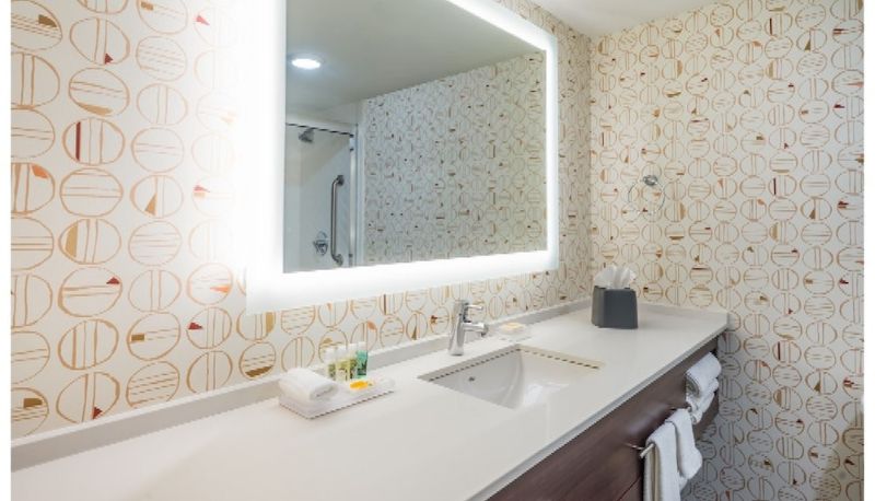Daire - Holiday Inn ROANOKE AIRPORT-CONFERENCE CTR by IHG