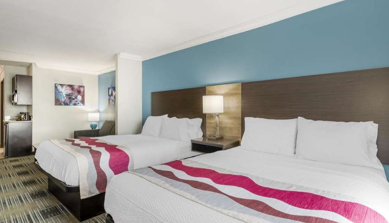 Suite - Best Western Medical Center North Inn & Suites Near Six Flags