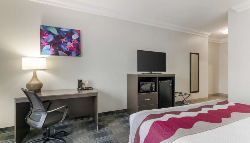 Habitación - Best Western Medical Center North Inn & Suites Near Six Flags
