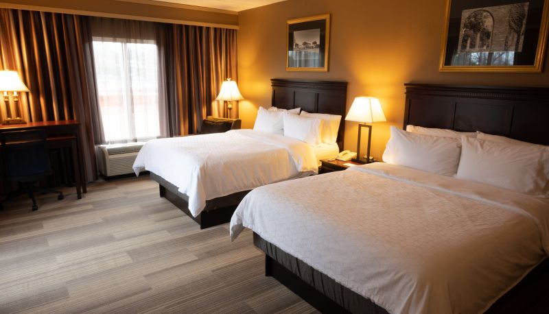 Zimmer - Holiday Inn Express & Suites TUSCALOOSA-UNIVERSITY by IHG