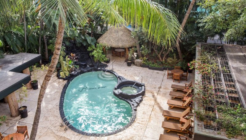 プール - Castle Bamboo Waikīkī Hotel