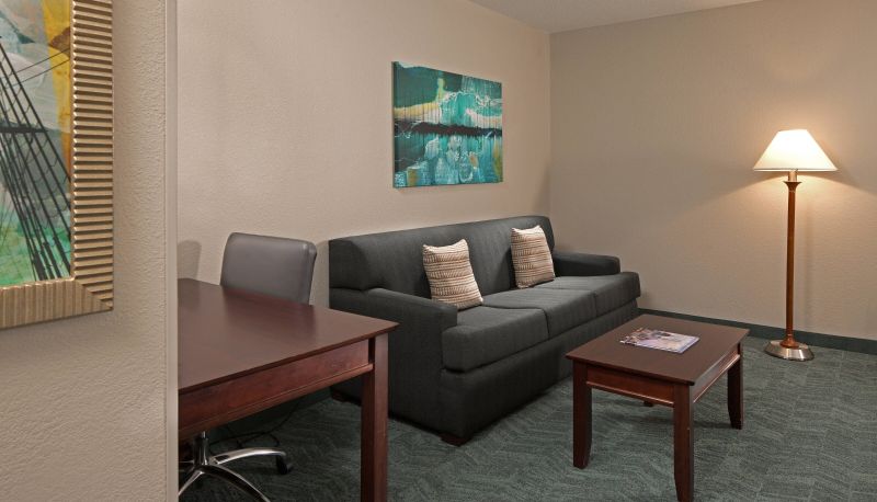 Kamer - SpringHill Suites by Marriott Baltimore Downtown Inner Harbor