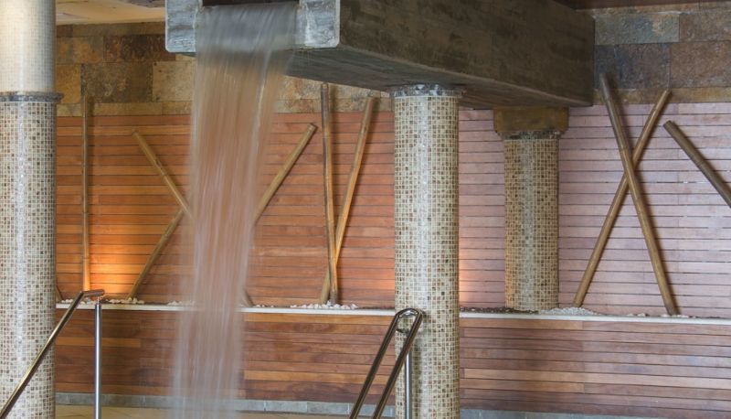 Havuz - Hotel Hospes Palacio de Arenales & Spa & SPA